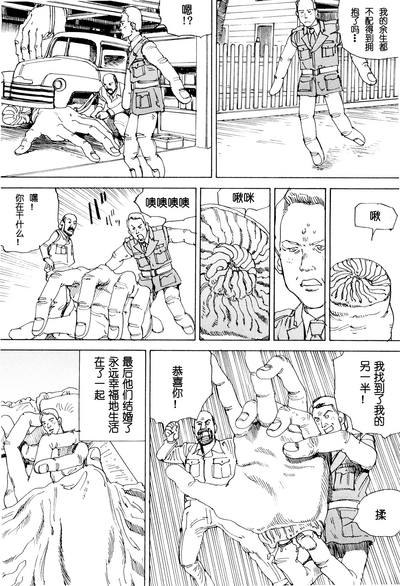 第195頁圖