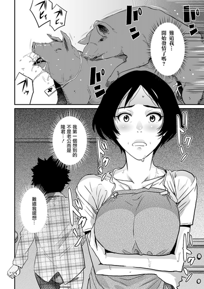 第43页图