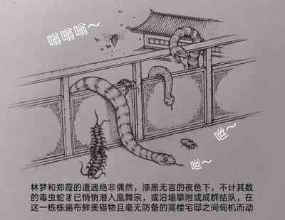 第15頁圖