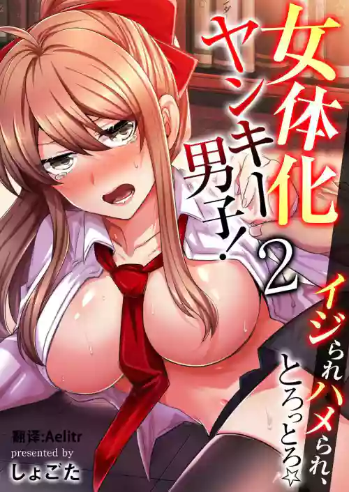 女体化ヤンキー男子！イジられハメられ、とろっとろ ☆ 2 封面 - HaSM.cc