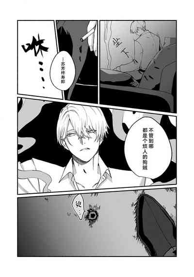 第219頁圖