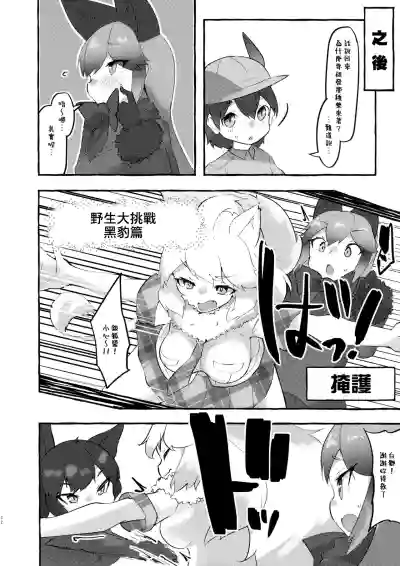 第31頁圖