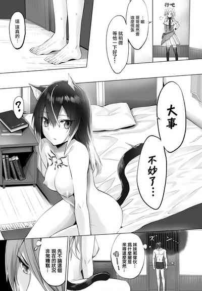 第119頁圖