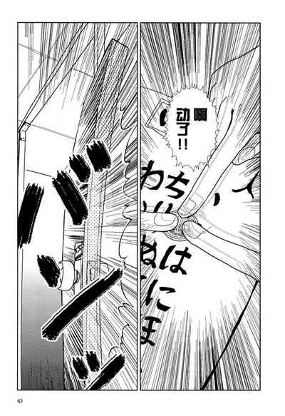 第43頁圖