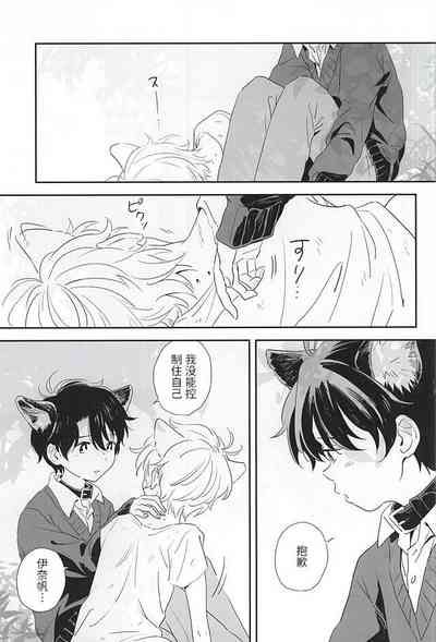 第19页图