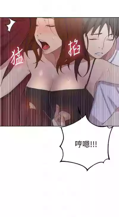 第251頁圖