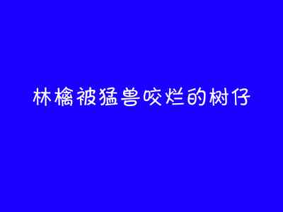 第31頁圖