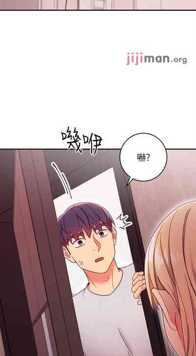 第491頁圖