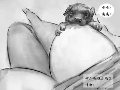 第7頁圖