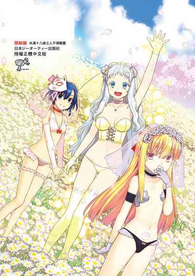 第235頁圖