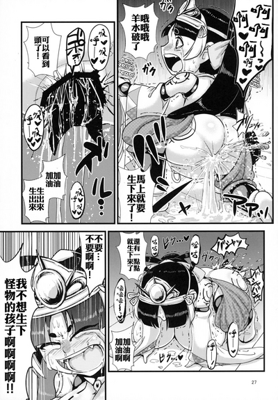 第27頁圖