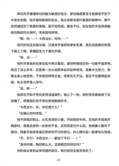 第35頁圖