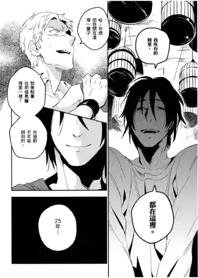 第91頁圖