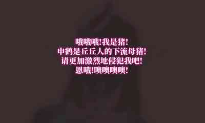 第11页图