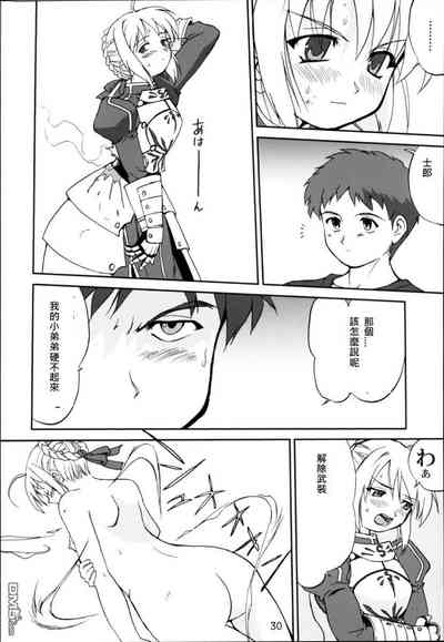 第27頁圖