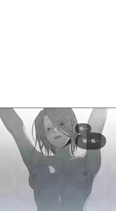 第299頁圖