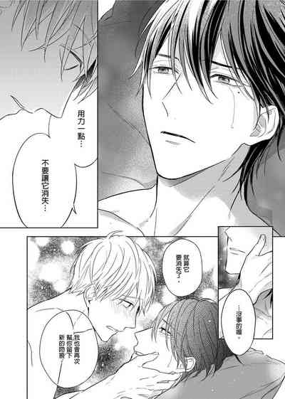 第295頁圖