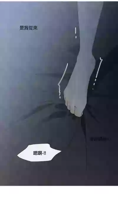 第215頁圖