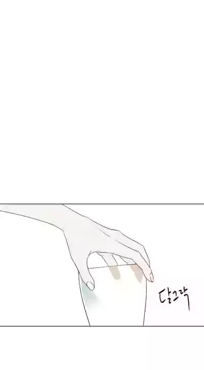 第303頁圖