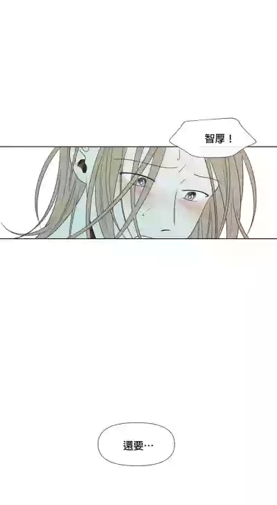 第319頁圖
