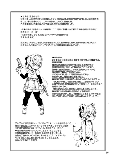 第55頁圖
