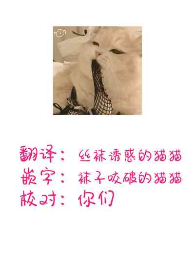 第19页图