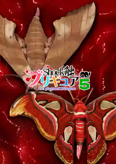 第59頁圖