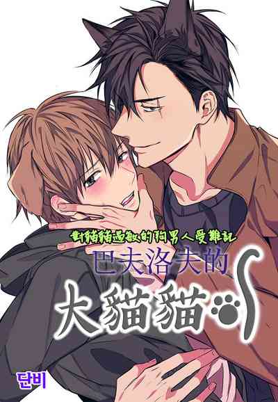 第27頁圖