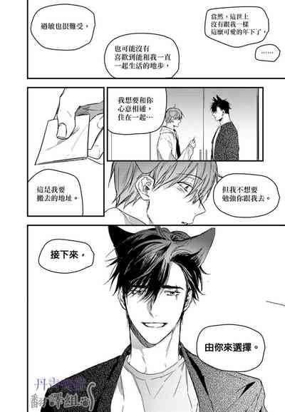 第335頁圖