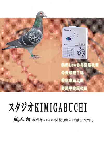 第11頁圖