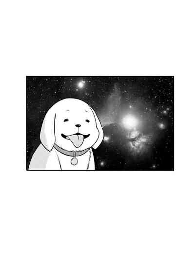 第155頁圖