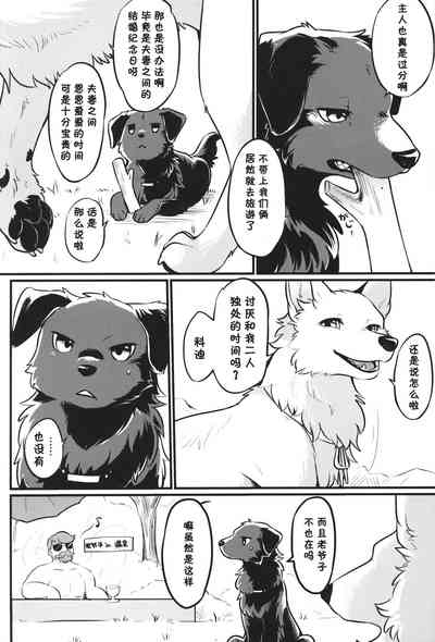 第3页图