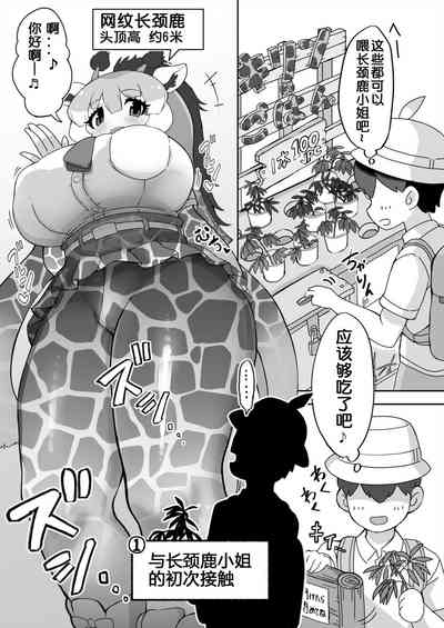 第55頁圖