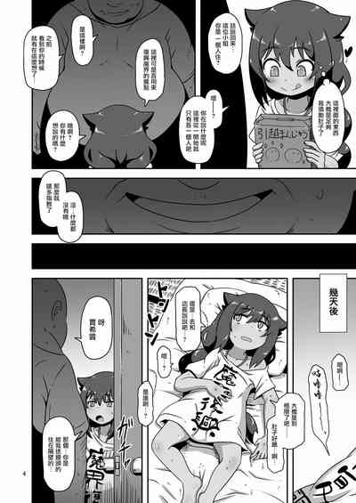 第3页图