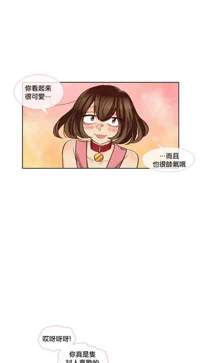 第243頁圖