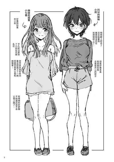 第3页图