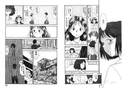 第43頁圖