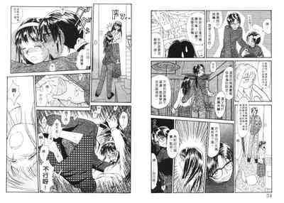 第19頁圖