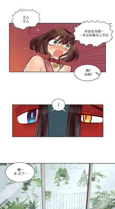 第223頁圖