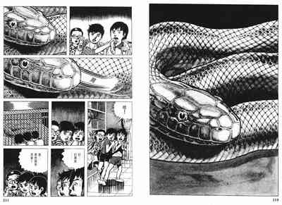 第107頁圖