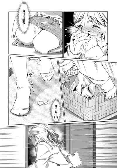 第31頁圖
