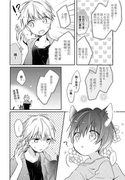 第11页图