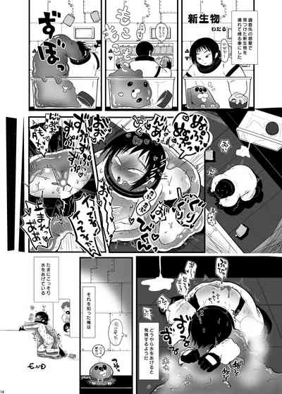 第183頁圖