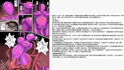 第11页图