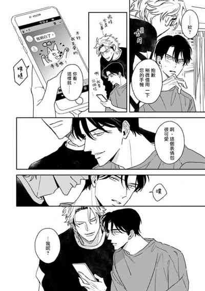 第251頁圖