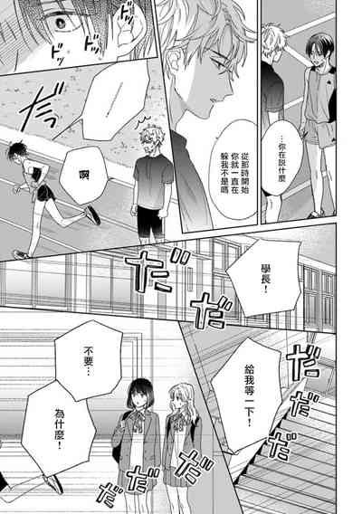第291頁圖