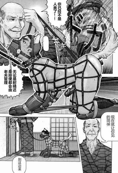 第87页图