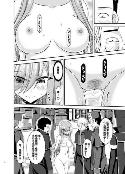 第19页图