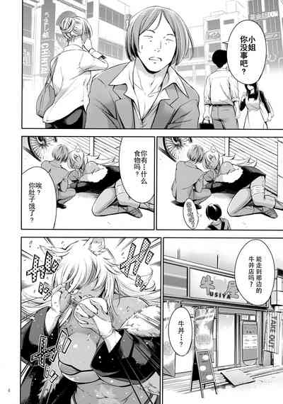 第3页图