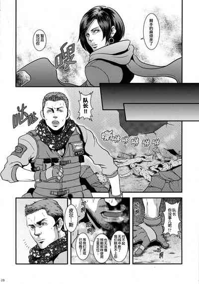 第27页图